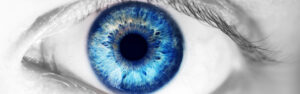 Mittelpunkt 2026